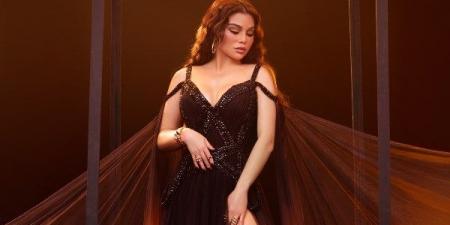 حقيقة فيديو هيفاء وهبي في غرفة النوم.. ما القصة؟