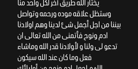 خلافات زوجية؟ .. سبب طلاق مصطفى أبو سريع وزوجته