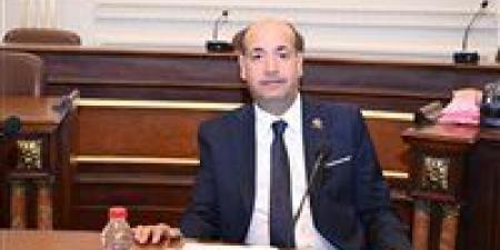 النائب أحمد سيد: السياحة العلاجية المصرية ثروة قومية ومحرك رئيسي للتنمية الاقتصادية بما يتوافق مع "رؤية مصر 2030"