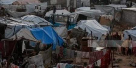 أطباء بلا حدود تحذر من خنق الرعاية الصحية بغزة.. متى تحل الكارثة؟