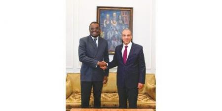 وزير الخارجية: مصر مستعدة لنقل خبراتها وتجاربها الصحية والدوائية إلى الدول الأفريقية