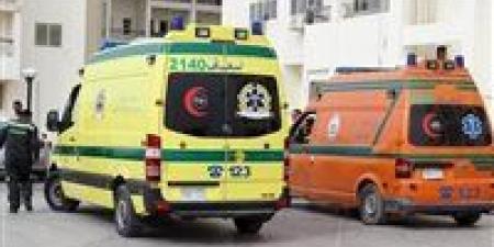 كانوا رايحين الشغل والميكروباص اتقلب بيهم ..مصرع شخص وإصابة 13