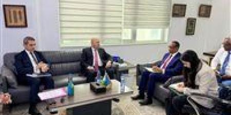 من الدواء إلى الزراعة الذكية.. مصر تعمق شراكتها الاقتصادية مع جيبوتي