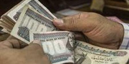 وفقا للقانون الجديد.. 5فئات مستحقة لدعم تكافل