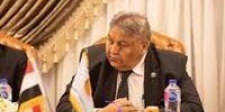 وكيل الإدارة المحلية لـ"تحيا مصر": تنظيم معارض السيارات ضرورة لإنهاء التكدس المروري