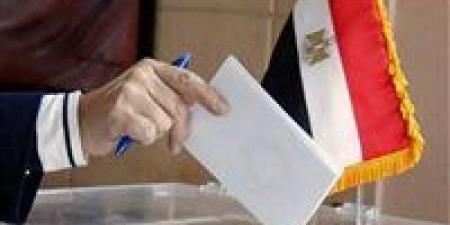 لليوم الثاني.. السفارات المصرية في 4 دول تواصل فتح لجان التصويت