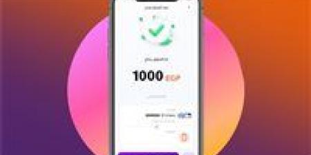 الحد الأقصى للتحويل عبر إنستاباي بعد قرارات البنك المركزي