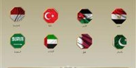 وزراء خارجية مصر والسعودية وتركيا و7 دول يعربون عن قلق بالغ إزاء تدهور الأوضاع الإنسانية في غزة