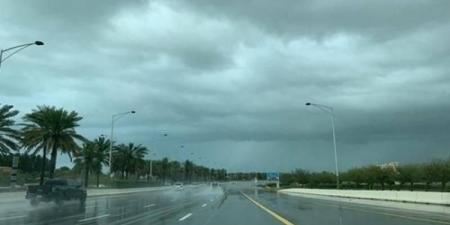 الإمارات.. أمطار خفيفة السبت ولمدة 3 أيام وضباب الجمعة