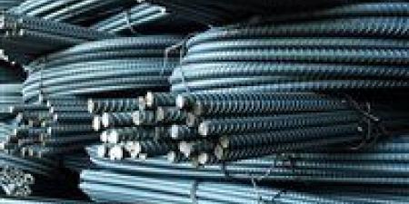 وزارة الاستثمار والتجارة الخارجية تفرض رسوم وقائية على واردات الصلب