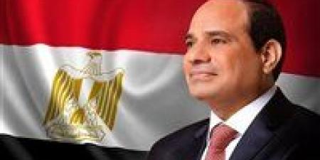 صناعة الشيوخ: الرئيس السيسي يوجه بمواصلة الإصلاح الاقتصادي وتحفيز القطاع الخاص لتعزيز النمو المستدام