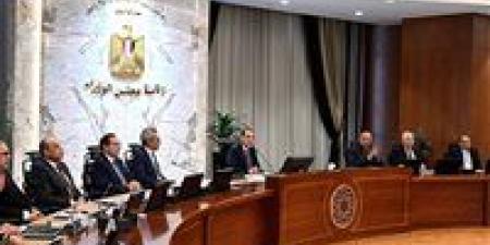 الوزراء: 16 مليار جنيه لتطوير شبكات الطاقة لاستيعاب المشروعات الجديدة