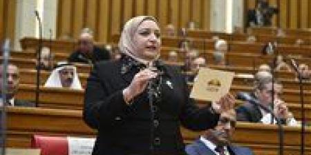 خاص.. تحيا مصر ينشر نص مشروع قانون الإدارة المحلية المقدم من نائبة حزب العدل سحر عتمان