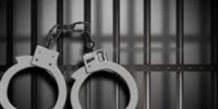 إحالة 7 متهمين إلى الجنايات لتكوينهم عصابة تزوير توكيلات سيارات بالقاهرة