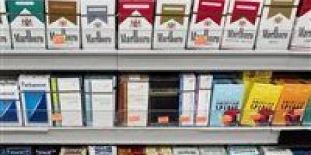 أسعار السجائر في مصر اليوم بعد الزيادة الأخيرة وتأثيرها على الأسواق