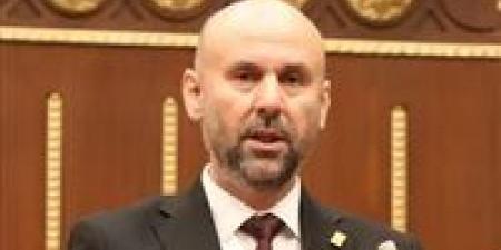 النائب باسم كامل يطالب مجلس الشيوخ بإصدار بيان حازم لرفض تشريع إعدام الأسرى الفلسطينيين