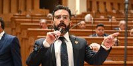 النائب إسلام قرطام يحذر: مخالفات متبقيات المبيدات تهدد سمعة الصادرات الزراعية المصرية