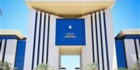 مصر: الوضع في لبنان حرجاً ونطالب إسرائيل بالوقف الفوري لعدوانها على بيروت