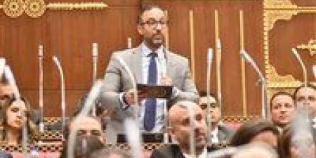 العمل به تطوعي لخدمة الدولة.. النائب أحمد الحمامصي يقترح إنشاء مجلس أعلى للأسرة