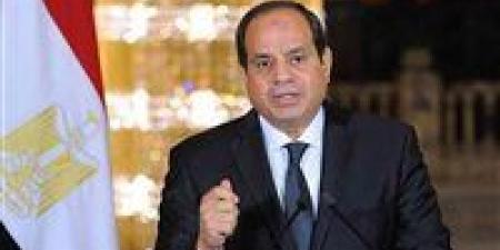 الرئيس السيسي يؤكد ضرورة إقامة شراكات استراتيجية مع كبرى الشركات العالمية
