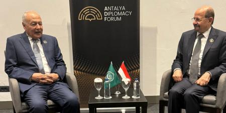 أبو الغيط: ندعم الحكومة اليمنية الشرعية.. وإيران فشلت في جر اليمن إلى الصراع الإقليمي