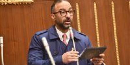 الحمامصي يتساءل عن سبب ضعف أداء صندوق الأسرة ومراجعة آليات عمله