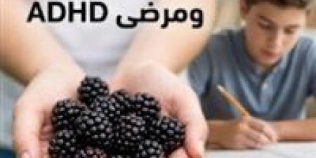 “ثمرة الإعجاز والتركيز ”.. كيف يتحول التوت الأسود إلى سلاح طبيعي لدعم مرضى ADHD؟