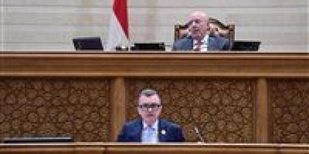 وزير التخطيط يستعرض أمام البرلمان ملامح خطة التنمية 2026/2027 بنمو مستهدف 5.4%