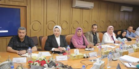 محافظ قنا يتابع الموقف التنفيذي لإحياء منطقة دندرة مع UN Habitat وUNDP