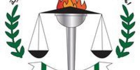 القومي للبحوث: سجلنا أكثر من 100 ألف بحث و350 براءة اختراع منذ إنشاء المركز