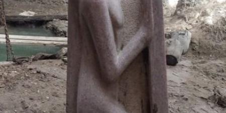 استخرجوا تمثالا نادر.. حبس المتهمين بالتنقيب عن آثار بالبدرشين