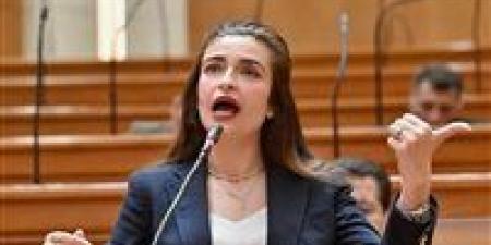 النائبة إيرين سعيد تتقدم بطلب إحاطة بشأن حق الطفل المصري في تعليم متوازن