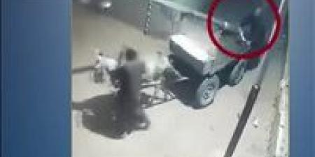 الداخلية تكشف تفاصيل نقل عامود إنارة على عربة كارو في الدقهلية