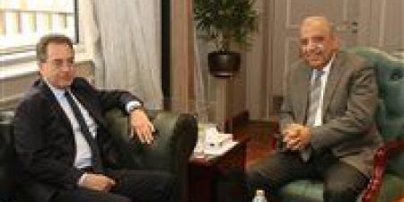 تعاون مصري فرنسي لتحديث شبكة الكهرباء ودعم مشروعات الطاقة النظيفة