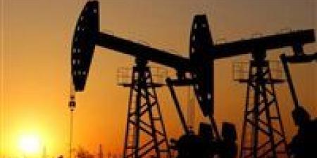 أيمن غنيم: قد يتخطى سعر برميل النفط مستوى 150 دولارا