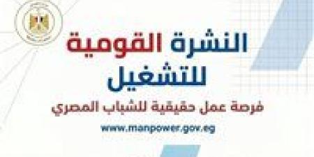 وزارة العمل: 2554 فرصة عمل في 66 شركة خاصة.. والتقديم طوال مايو الجاري