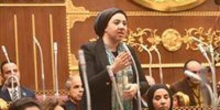 لحماية حقوق المبدعين في العصر الرقمي.. أميرة صابر توضح تفاصيل مقترح الفنان ياسر جلال “حق الأداء العلني”
