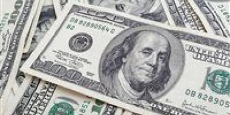 استقرار نسبي للعملة.. سعر الدولار الآن في البنوك