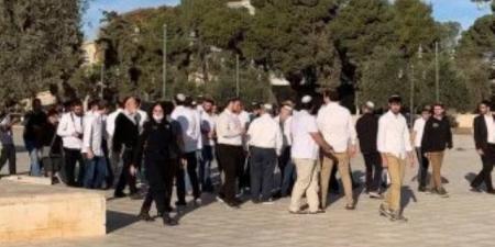 مستوطنون يؤدون طقوسا تلمودية عند مدخل سنجل شمال رام الله لليوم الثانى على التوالى