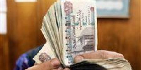 بعد قرار المركزي.. شهادات الادخار تقلب الحسابات