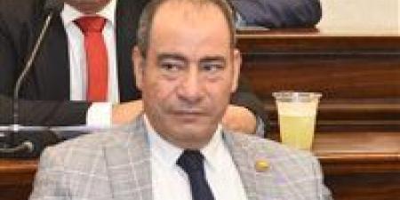 مجاهد نصار: مصر تعزز حضورها الإقليمي عبر تحركات دبلوماسية فاعلة لاحتواء أزمات المنطقة