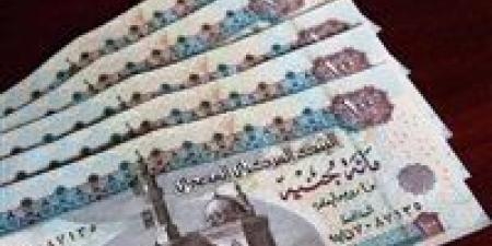 المعاش الإضافي في قانون التأمينات الجديد.. الشروط وطريقة الحساب وفقًا للقانون