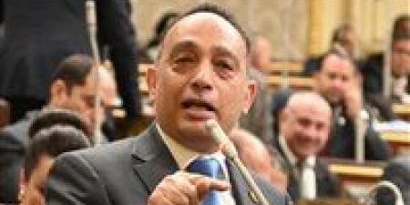 بعد أزمة سعر الكشف.. فريدي البياضي لـ"تحيا مصر": الطبيب يمارس مهنة حرة مثل المحامي والمهندس.. والحل في إصلاح المنظومة الصحية