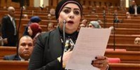 النائبة جيهان شاهين تدين اقتحام المسجد الأقصى: انتهاك للقانون الدولي واستفزاز لمشاعر المسلمين