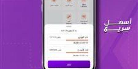 رسوم وحدود معاملات تطبيق إنستاباي 2026 وتفاصيل الاستخدام