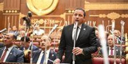 النائب عادل السكري يشيد باستجابة الحكومة لمقترحاته بالتيسير على المواطنين في ملف العدادات الكودية