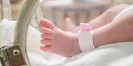 4 اشخاص مسؤولة لضمان تسجيل رسمي خلال 15 يوما.. قانون الطفل ينظم الإبلاغ عن المواليد