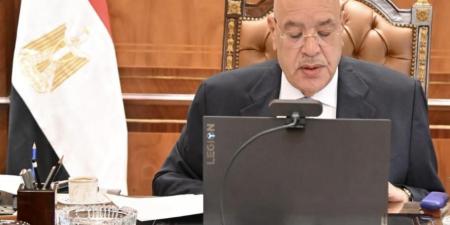 رئيس مجلس النواب: أمن الدول العربية جزء لا يتجزأ من الأمن القومي المصري والقضية الفلسطينية ستظل القضية المركزية للأمة
