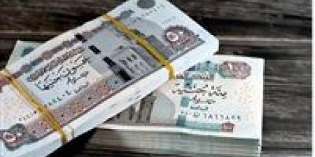 زيادة المعاشات 2026.. موعد التطبيق الرسمي وخطوات الاستعلام