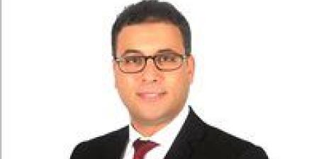 د.ثروت إمبابي يكتب: حماية صناعة الدواجن والبيض.. من إدارة الأزمة إلى صناعة الثقة